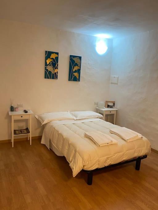 Gianfranco - City Center Apt 佛罗伦萨 外观 照片