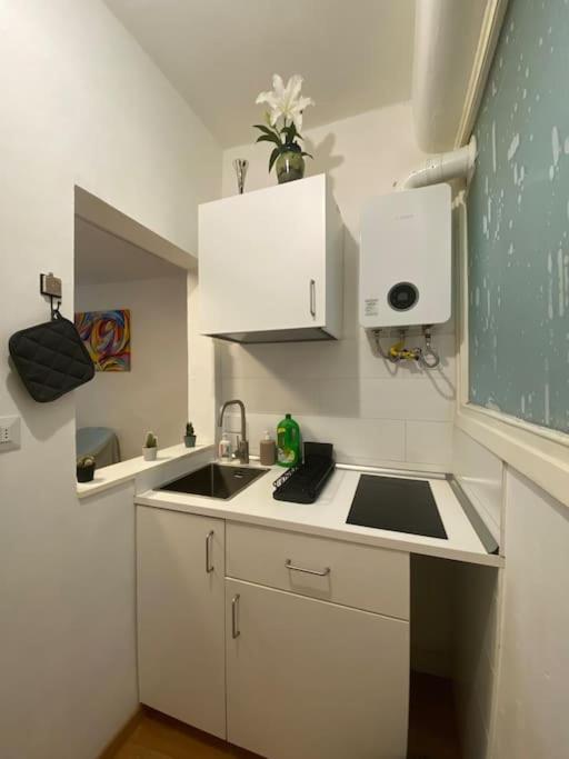 Gianfranco - City Center Apt 佛罗伦萨 外观 照片