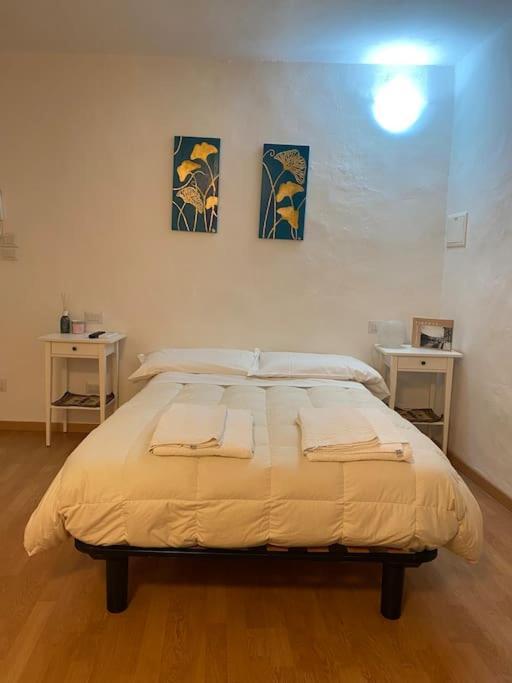 Gianfranco - City Center Apt 佛罗伦萨 外观 照片