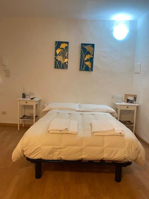 Gianfranco - City Center Apt 佛罗伦萨 外观 照片